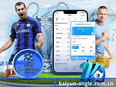 开云体育官网入口 APP