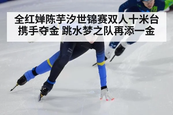 全红婵陈芋汐世锦赛双人十米台携手夺金 跳水梦之队再添一金