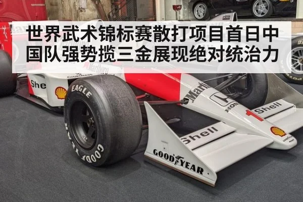世界武术锦标赛散打项目首日中国队强势揽三金展现绝对统治力